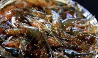 炝醉虾怎么做 生呛醉虾的做法