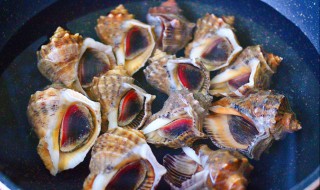 海螺怎么做吃啊 海螺家常吃法