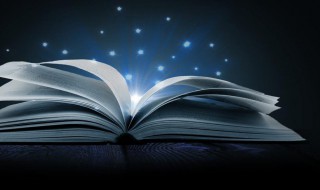 本来我可以坚持作文800字 本来我可以坚持作文怎么写