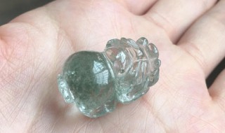 狐狸和貔貅能带一块吗 狐狸和貔貅一起带吗