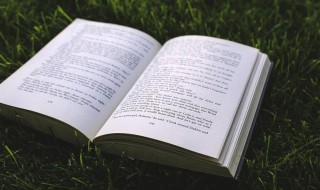 冬日黄昏时车来人往的街头600字 冬日黄昏时车来人往的街头怎么写