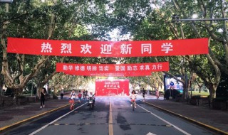 欢迎新生的标语创意 欢迎新生的标语创意有哪些