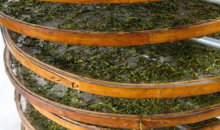 凤凰茶烘烤技巧 凤凰茶烘烤技巧有哪些