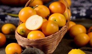 怎么做白糖金桔 白糖金桔的做法