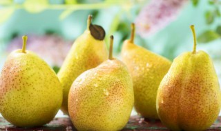 陈皮梨水怎么做 陈皮梨水的做法