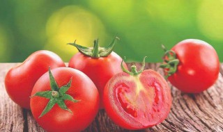 西红柿炒小瓜如何做 怎么做西红柿炒小瓜