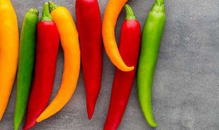 凉拌辣椒好吃窍门 做辣椒的方法