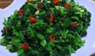 凉拌萝卜叶如何做 做凉拌萝卜叶的方法