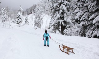 形容冬天的美句子 描写冬天的句子精选