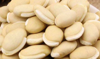 白扁豆的做法窍门 如何做白扁豆