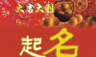 轩字取名的寓意好吗 轩字的含义