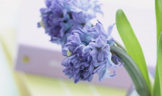 有关教育的名人名言 教育名人名言集锦