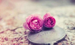 与彩花有关的句子 与彩花有关的句子集锦