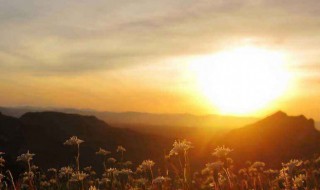 朋友圈好心情说说 阳光灿烂心情好的唯美说说句子