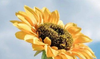 珍惜的简短走心的文案 珍惜的简短走心的文案有哪些