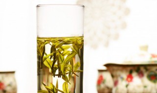 绿茶功效和作用 绿茶对人体的好处