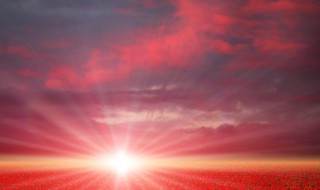 早上最暖心的语言 非常暖心的话语范例