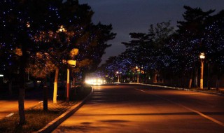 晚安暖心语句 暖心的晚安句子有哪些