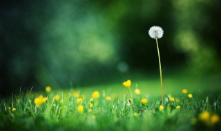 正能量的故事简短 正能量的故事简短真人真事