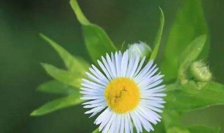 健康的经典说说句子 健康的经典说说句子有哪些