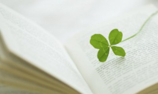 关于时间的心语 关于珍惜时间的句子