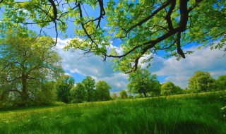 描写风景的简短好句 写景的好句有哪些