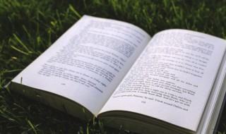 对孩子爱的句子简短 表达对孩子的爱的句子简短