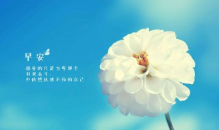 2020清晨励志正能量的句子简短 早晨励志短句正能量语句