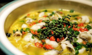 花椒煮鱼方法 青花椒水煮鱼的做法