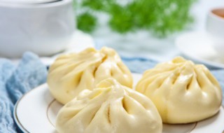 肉包子皮的做法窍门 肉包子皮的做法窍门简述