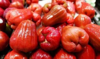 莲雾怎么保存 莲雾保存方法介绍