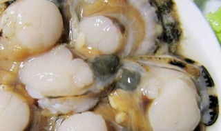 白扇贝肉如何做 扇贝肉的做法