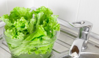 生菜汤如何做 生菜汤家常做法