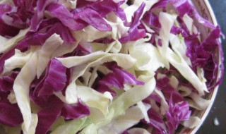 甘蓝都怎么做 做双色甘蓝的方法