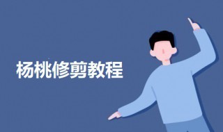 杨桃修剪教程 杨桃修剪的方法介绍