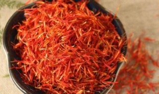 红花的繁殖方法 红花如何繁殖