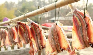 在家如何做腊鱼 在家怎么做腊鱼