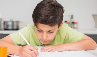 我的小伙伴作文300字 关于我的我的小伙伴作文范文