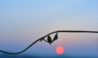 爬山后心情短语 怎么写出爬山后的感觉呢