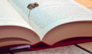 水尤清冽的尤是什么意思 水尤清冽的尤释义