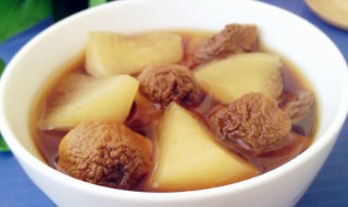 松茸萝卜汤的做法窍门 怎么做简单好吃