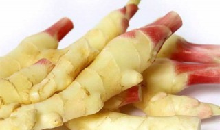 生姜做泡菜方法 生姜做泡菜方法介绍