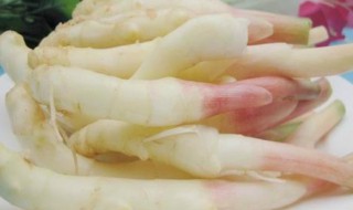 怎么做糖醋嫩姜 糖醋嫩姜的做法