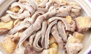 母鸡猪肚煲做法窍门 怎么做简单好吃