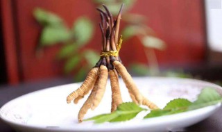 冬虫夏草适合什么人群吃 九类人适合吃冬虫夏草