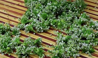 韭花酱腌制方法 自己做韭花酱的方法