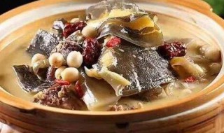 甲鱼炖鸽子方法 做甲鱼炖鸽子的窍门