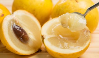 黄金果水培方法 黄金果水培方法是什么呢