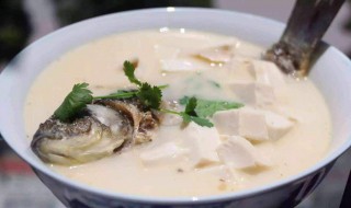 生鱼汤制作方法 生鱼汤制作方法介绍