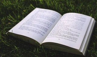 女生昵称简短唯美四字 好听优雅唯美的女生网名四字的